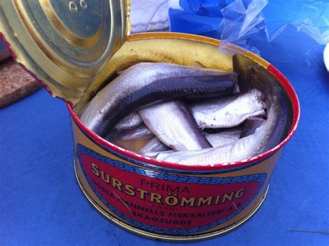 worst smelling fish in a can|Surströmming – the rotten herring that Swedes love